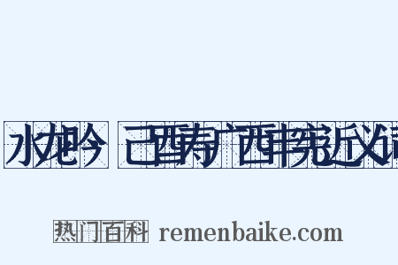 水龙吟·己酉寿广西丰宪近义词是什么意思的图片